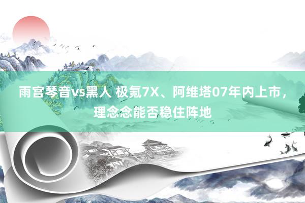 雨宫琴音vs黑人 极氪7X、阿维塔07年内上市，理念念能否稳住阵地