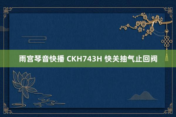 雨宫琴音快播 CKH743H 快关抽气止回阀