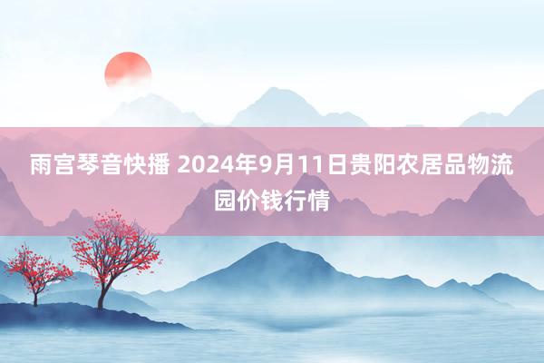 雨宫琴音快播 2024年9月11日贵阳农居品物流园价钱行情