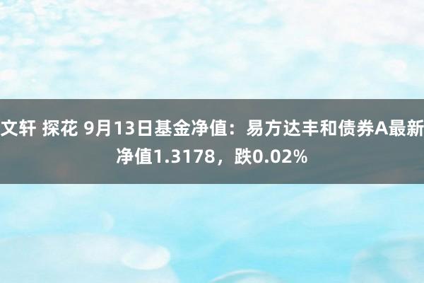 文轩 探花 9月13日基金净值：易方达丰和债券A最新净值1.3178，跌0.02%