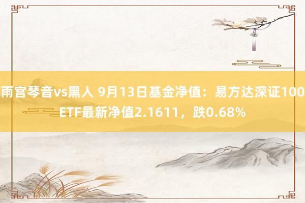 雨宫琴音vs黑人 9月13日基金净值：易方达深证100ETF最新净值2.1611，跌0.68%