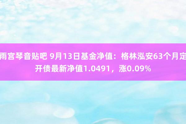 雨宫琴音贴吧 9月13日基金净值：格林泓安63个月定开债最新净值1.0491，涨0.09%