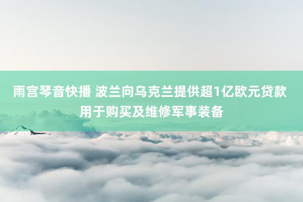 雨宫琴音快播 波兰向乌克兰提供超1亿欧元贷款 用于购买及维修军事装备