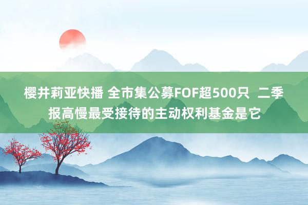 樱井莉亚快播 全市集公募FOF超500只  二季报高慢最受接待的主动权利基金是它