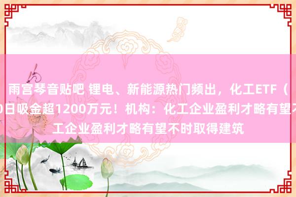 雨宫琴音贴吧 锂电、新能源热门频出，化工ETF（516020）20日吸金超1200万元！机构：化工企业盈利才略有望不时取得建筑