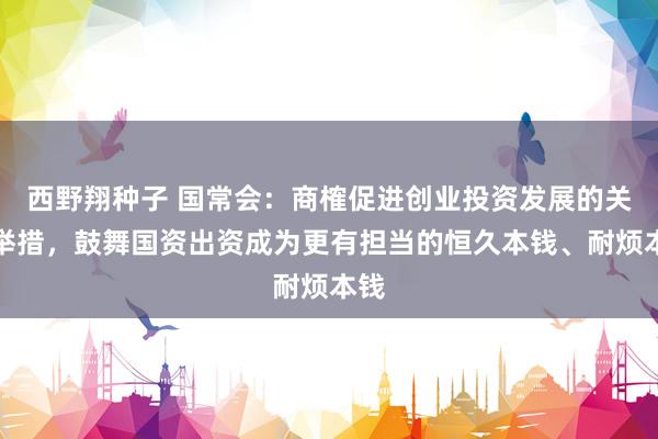 西野翔种子 国常会：商榷促进创业投资发展的关系举措，鼓舞国资出资成为更有担当的恒久本钱、耐烦本钱