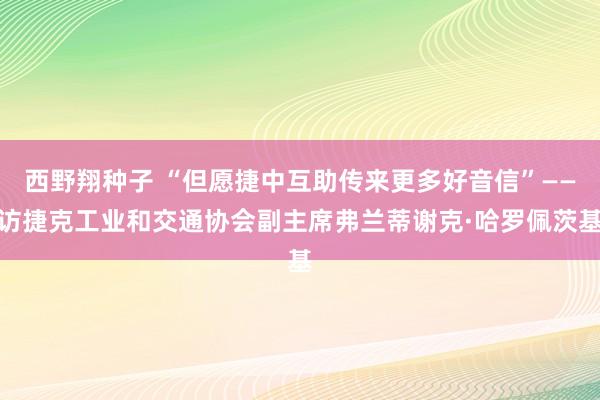 西野翔种子 “但愿捷中互助传来更多好音信”——访捷克工业和交通协会副主席弗兰蒂谢克·哈罗佩茨基