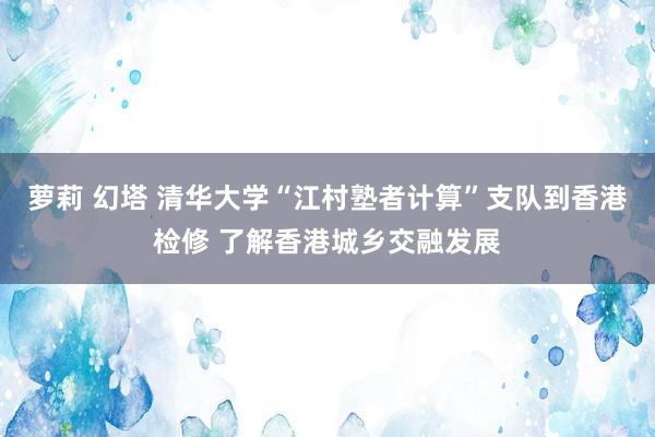 萝莉 幻塔 清华大学“江村塾者计算”支队到香港检修 了解香港城乡交融发展