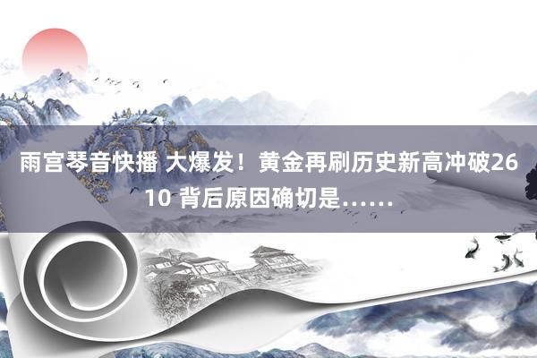 雨宫琴音快播 大爆发！黄金再刷历史新高冲破2610 背后原因确切是……