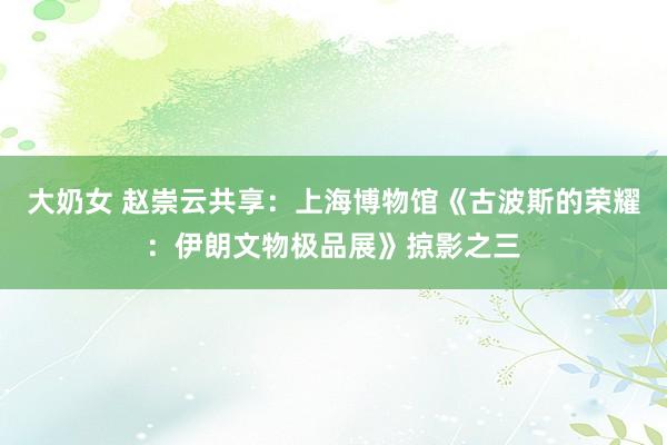 大奶女 赵崇云共享：上海博物馆《古波斯的荣耀：伊朗文物极品展》掠影之三