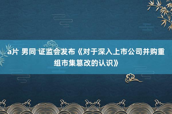 a片 男同 证监会发布《对于深入上市公司并购重组市集篡改的认识》