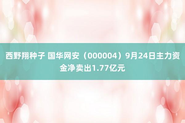 西野翔种子 国华网安（000004）9月24日主力资金净卖出1.77亿元