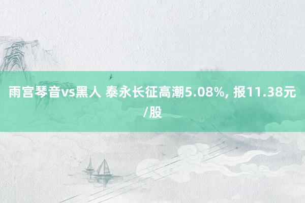 雨宫琴音vs黑人 泰永长征高潮5.08%， 报11.38元/股