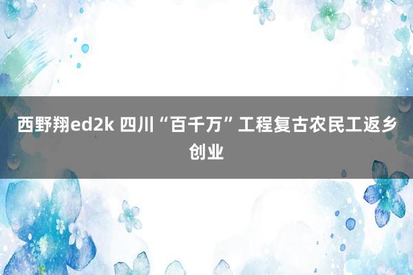 西野翔ed2k 四川“百千万”工程复古农民工返乡创业