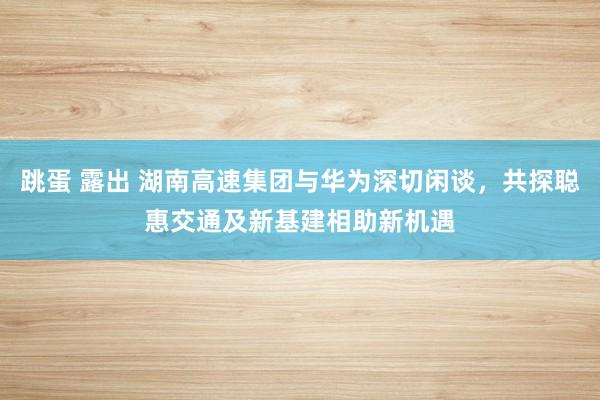 跳蛋 露出 湖南高速集团与华为深切闲谈，共探聪惠交通及新基建相助新机遇