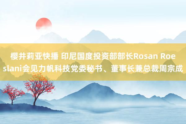 樱井莉亚快播 印尼国度投资部部长Rosan Roeslani会见力帆科技党委秘书、董事长兼总裁周宗成