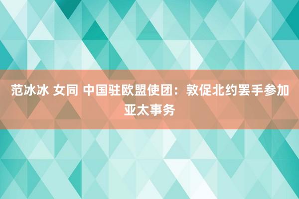 范冰冰 女同 中国驻欧盟使团：敦促北约罢手参加亚太事务