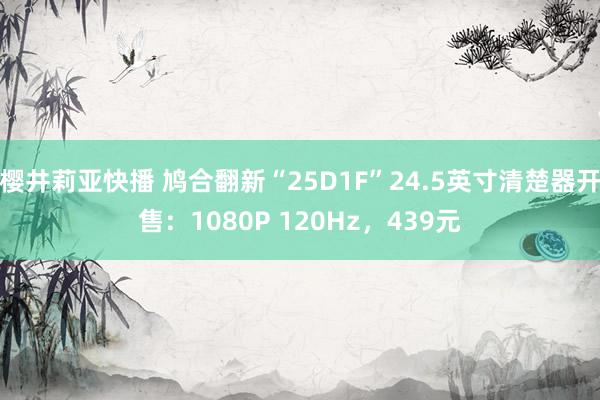 樱井莉亚快播 鸠合翻新“25D1F”24.5英寸清楚器开售：1080P 120Hz，439元