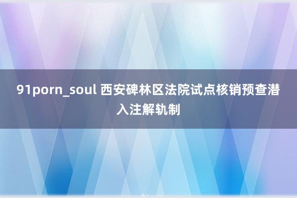 91porn_soul 西安碑林区法院试点核销预查潜入注解轨制