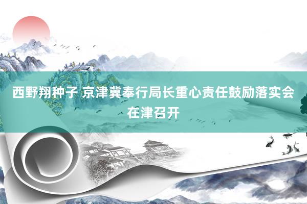 西野翔种子 京津冀奉行局长重心责任鼓励落实会在津召开