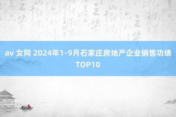 av 女同 2024年1-9月石家庄房地产企业销售功绩TOP10