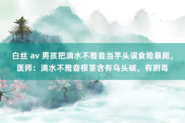 白丝 av 男孩把滴水不雅音当芋头误食险暴毙，医师：滴水不雅音根茎含有乌头碱，有剧毒