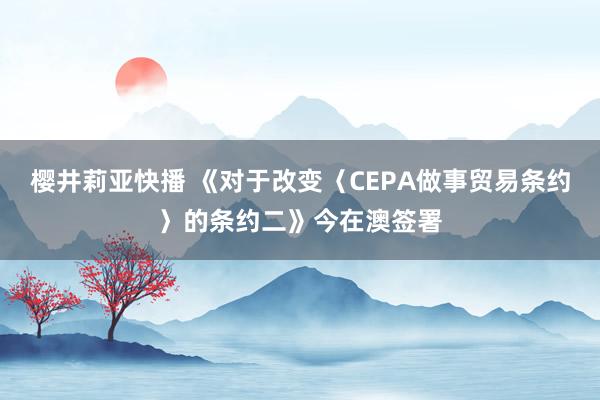 樱井莉亚快播 《对于改变〈CEPA做事贸易条约〉的条约二》今在澳签署