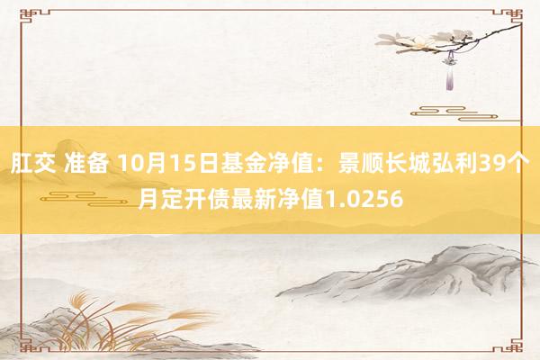 肛交 准备 10月15日基金净值：景顺长城弘利39个月定开债最新净值1.0256