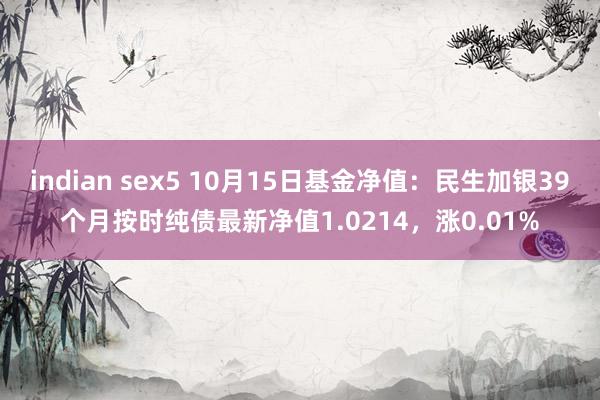 indian sex5 10月15日基金净值：民生加银39个月按时纯债最新净值1.0214，涨0.01%