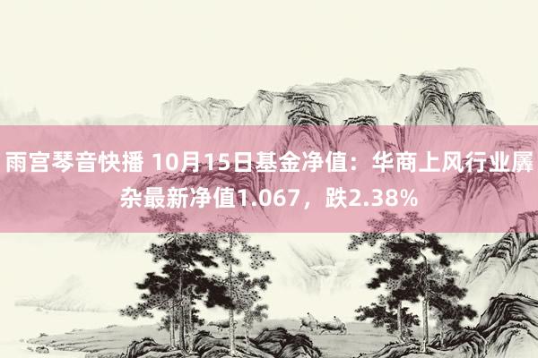 雨宫琴音快播 10月15日基金净值：华商上风行业羼杂最新净值1.067，跌2.38%