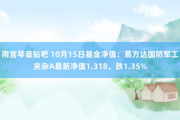 雨宫琴音贴吧 10月15日基金净值：易方达国防军工夹杂A最新净值1.318，跌1.35%