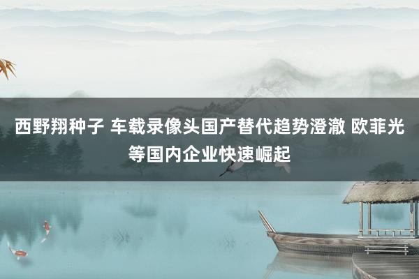 西野翔种子 车载录像头国产替代趋势澄澈 欧菲光等国内企业快速崛起