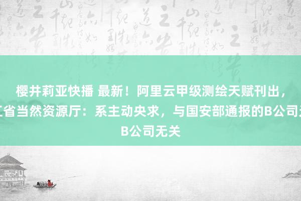 樱井莉亚快播 最新！阿里云甲级测绘天赋刊出，浙江省当然资源厅：系主动央求，与国安部通报的B公司无关