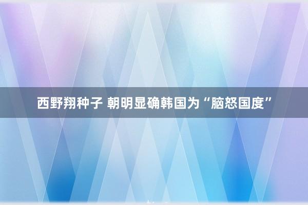 西野翔种子 朝明显确韩国为“脑怒国度”