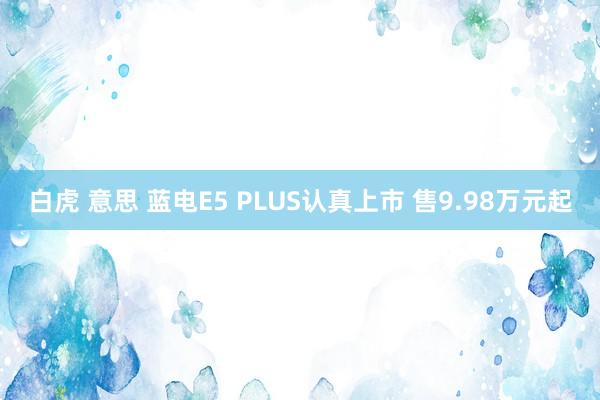 白虎 意思 蓝电E5 PLUS认真上市 售9.98万元起