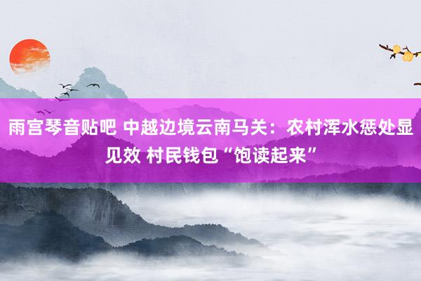 雨宫琴音贴吧 中越边境云南马关：农村浑水惩处显见效 村民钱包“饱读起来”