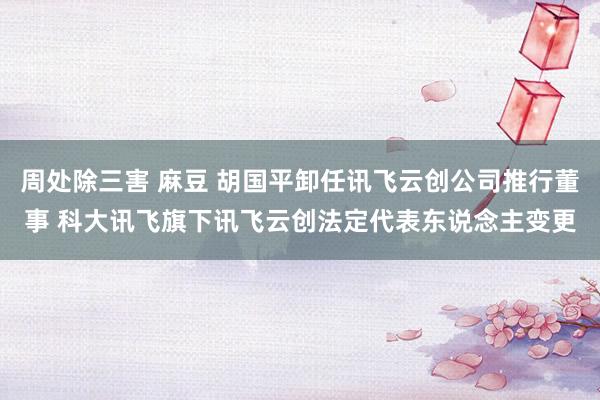 周处除三害 麻豆 胡国平卸任讯飞云创公司推行董事 科大讯飞旗下讯飞云创法定代表东说念主变更