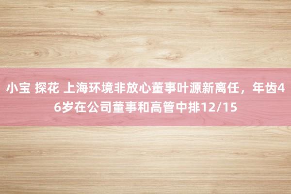 小宝 探花 上海环境非放心董事叶源新离任，年齿46岁在公司董事和高管中排12/15