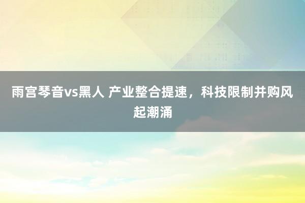 雨宫琴音vs黑人 产业整合提速，科技限制并购风起潮涌