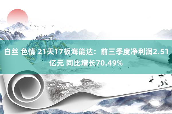 白丝 色情 21天17板海能达：前三季度净利润2.51亿元 同比增长70.49%