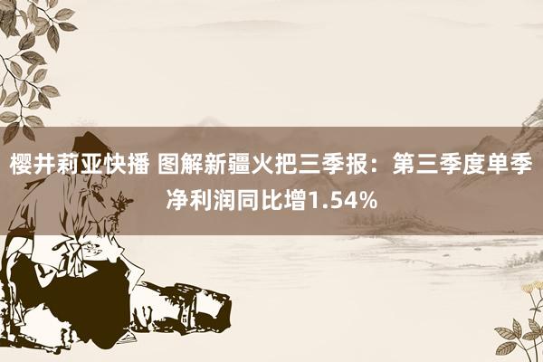 樱井莉亚快播 图解新疆火把三季报：第三季度单季净利润同比增1.54%