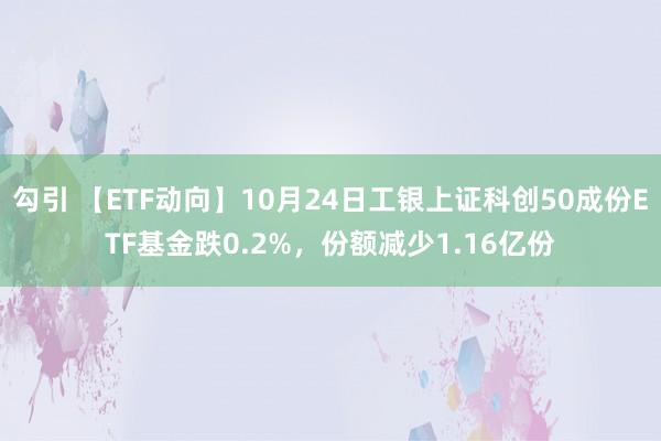 勾引 【ETF动向】10月24日工银上证科创50成份ETF基金跌0.2%，份额减少1.16亿份