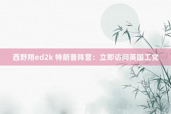 西野翔ed2k 特朗普阵营：立即访问英国工党