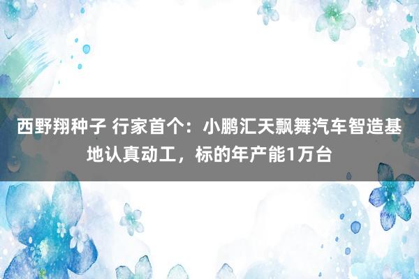 西野翔种子 行家首个：小鹏汇天飘舞汽车智造基地认真动工，标的年产能1万台