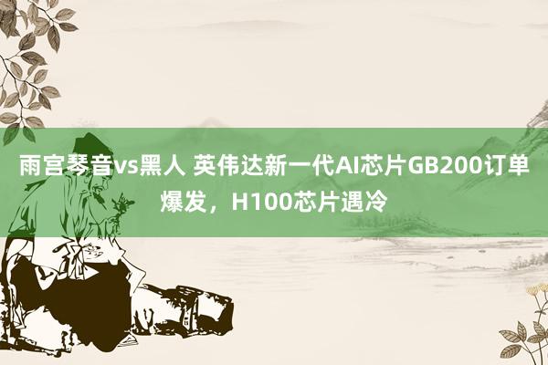 雨宫琴音vs黑人 英伟达新一代AI芯片GB200订单爆发，H100芯片遇冷