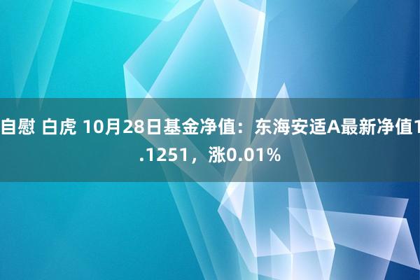 自慰 白虎 10月28日基金净值：东海安适A最新净值1.1251，涨0.01%