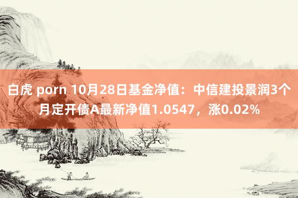 白虎 porn 10月28日基金净值：中信建投景润3个月定开债A最新净值1.0547，涨0.02%