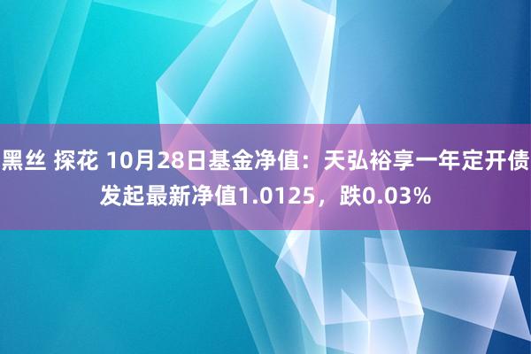 黑丝 探花 10月28日基金净值：天弘裕享一年定开债发起最新净值1.0125，跌0.03%