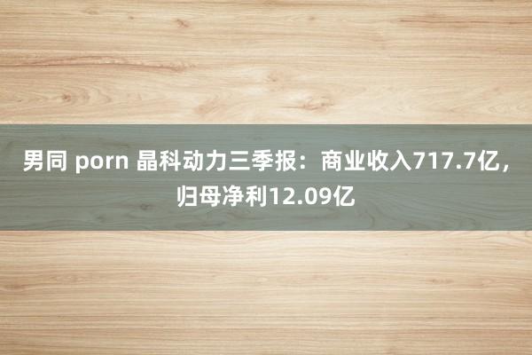 男同 porn 晶科动力三季报：商业收入717.7亿，归母净利12.09亿