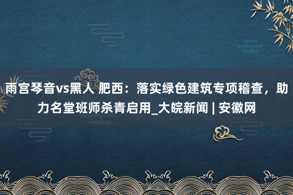 雨宫琴音vs黑人 肥西：落实绿色建筑专项稽查，助力名堂班师杀青启用_大皖新闻 | 安徽网